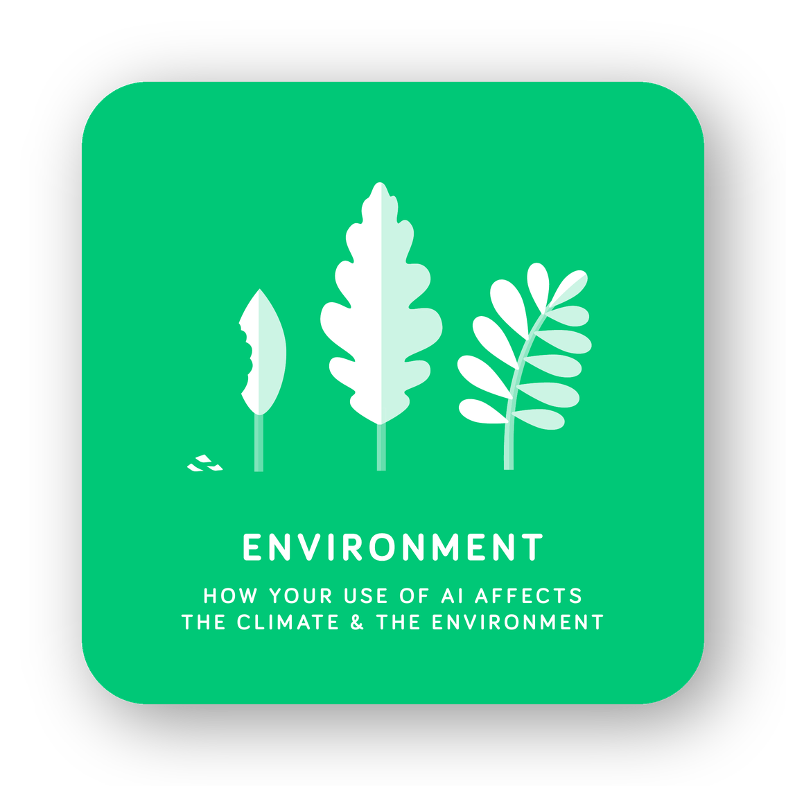 Environment card