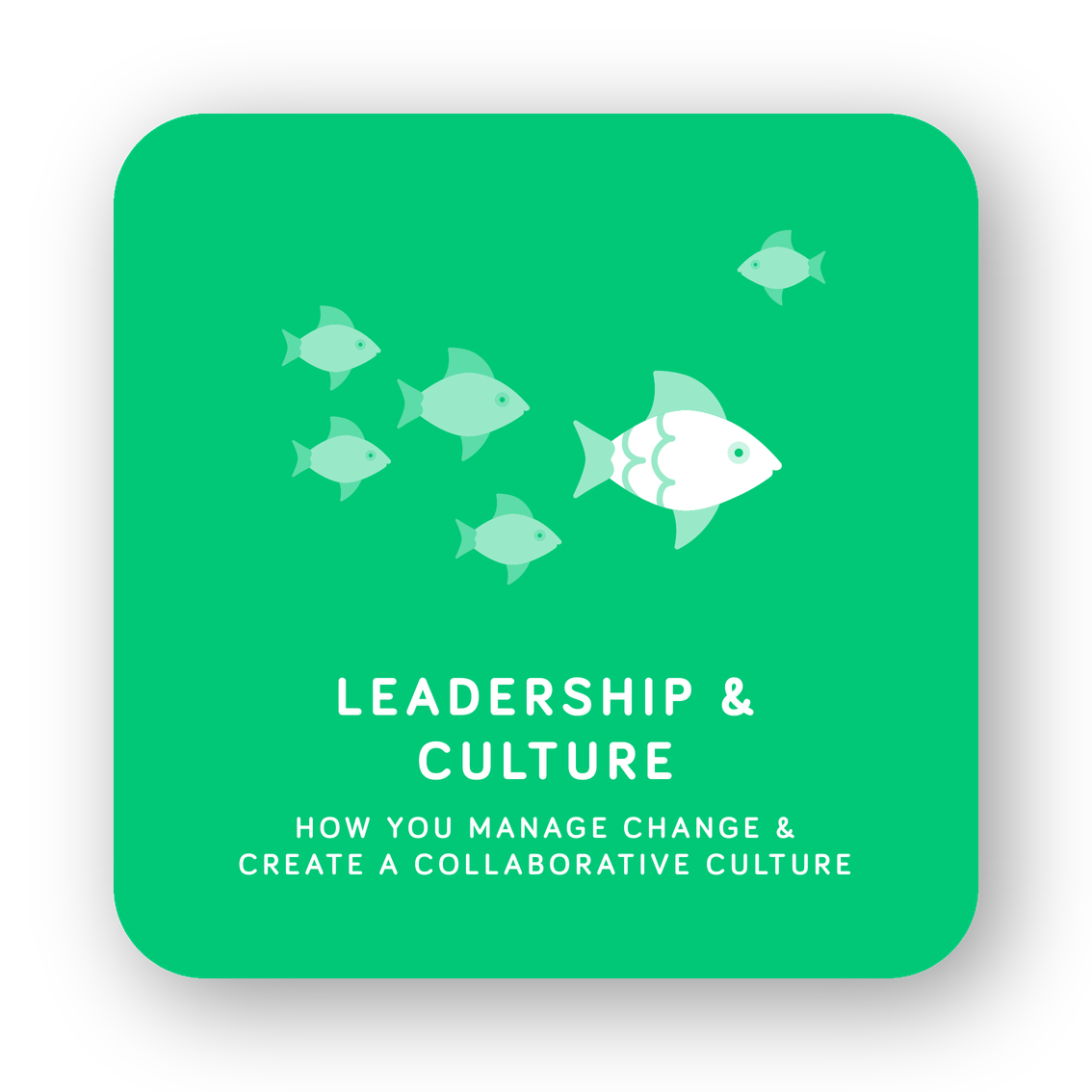 Leadership & Culture card