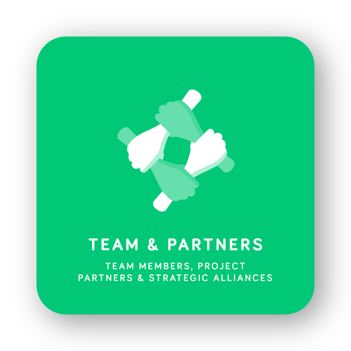 Team & Partners card